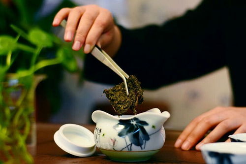 國津茯茶加盟優(yōu)勢 專業(yè)倉儲服務助力共贏發(fā)展