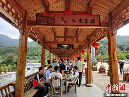 福建首家高速服務區大眾茶館開業 探索“茶旅融合”新路徑，為旅途添一縷茶香